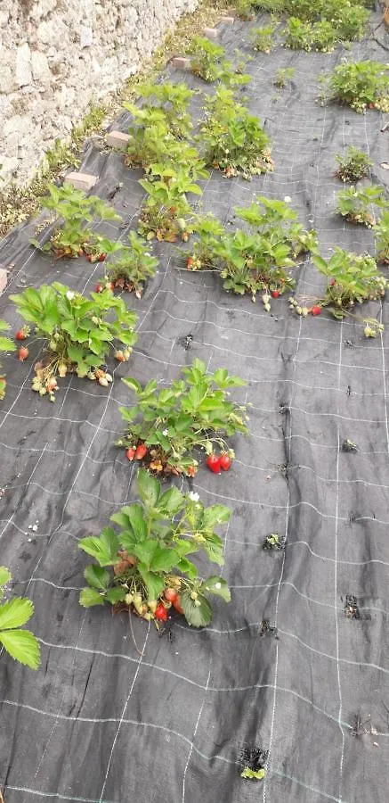 Farmház Le Bottesele Villa San Zeno di Montagna Olaszország